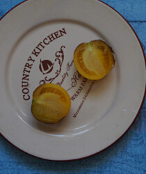 Томат «Бархатная Катя в Жёлтом» в разрезе Томат «Бархатная Катя в Жёлтом» в разрезе