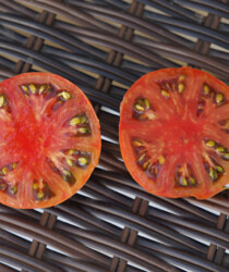 Помидор «Персик лилипут» в разрезе Помидор «Персик лилипут» в разрезе